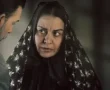 افعی تهران-8